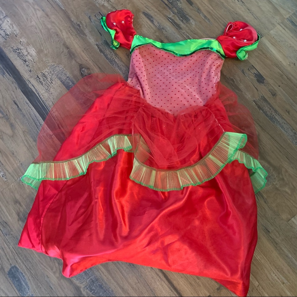Strawberry Shortcake Girls Dress Size 5/6 Costume Tulle